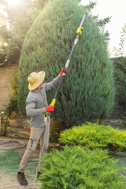 Best Weed Control  in Eastmont, WA